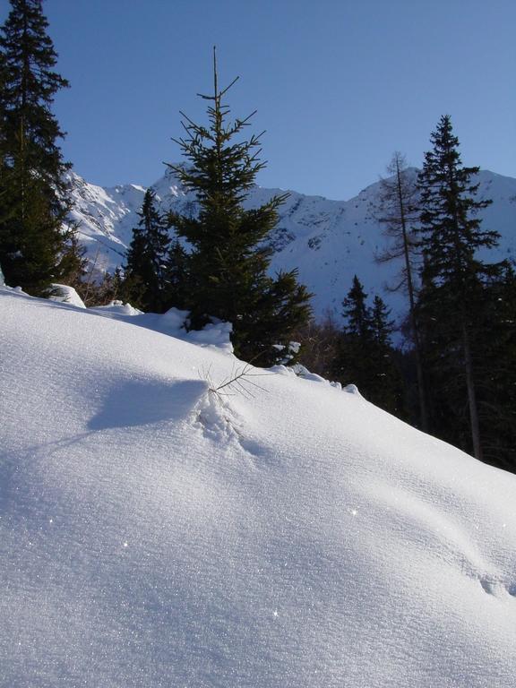 Gaestehaus Walch Fendels Kültér fotó